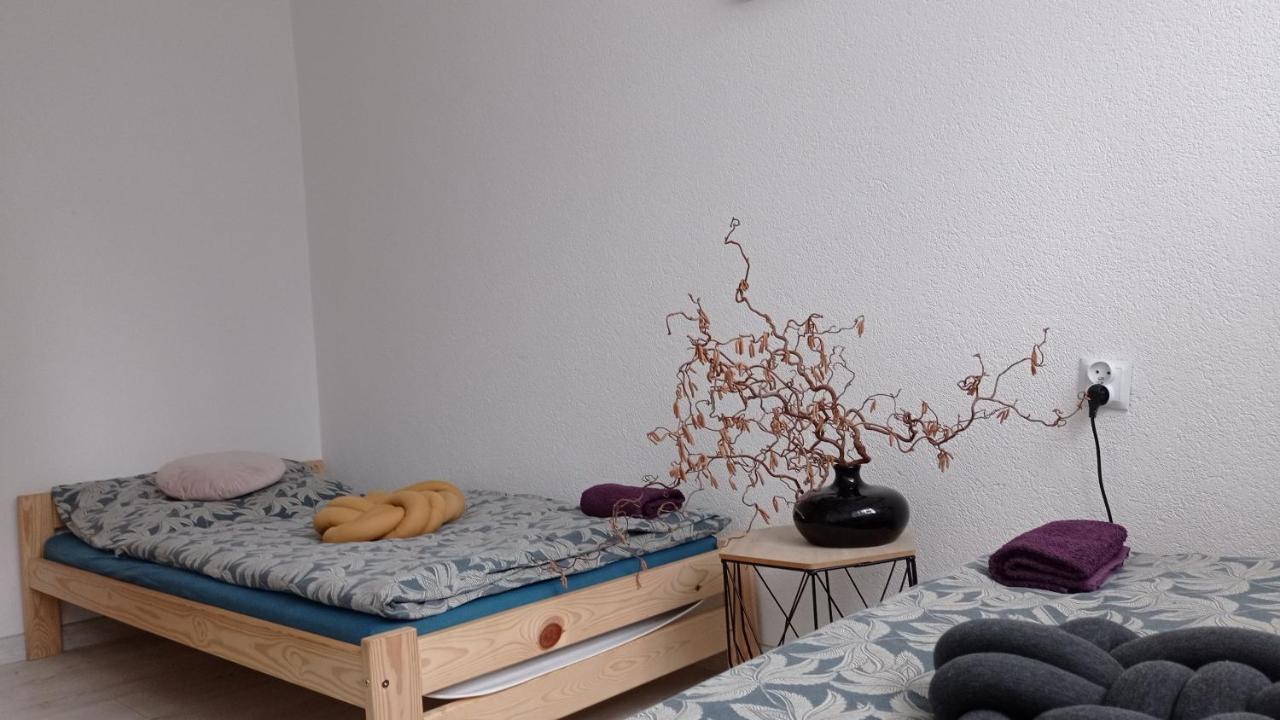 Babcares Apa Gory Izerskie Lejlighed Mirsk Eksteriør billede